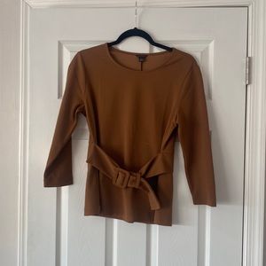Ann Taylor Vicuña Top